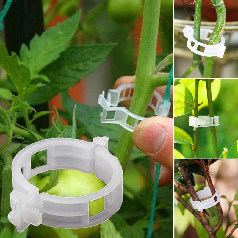 PlantClip - Innovativa Klämmor för Växter